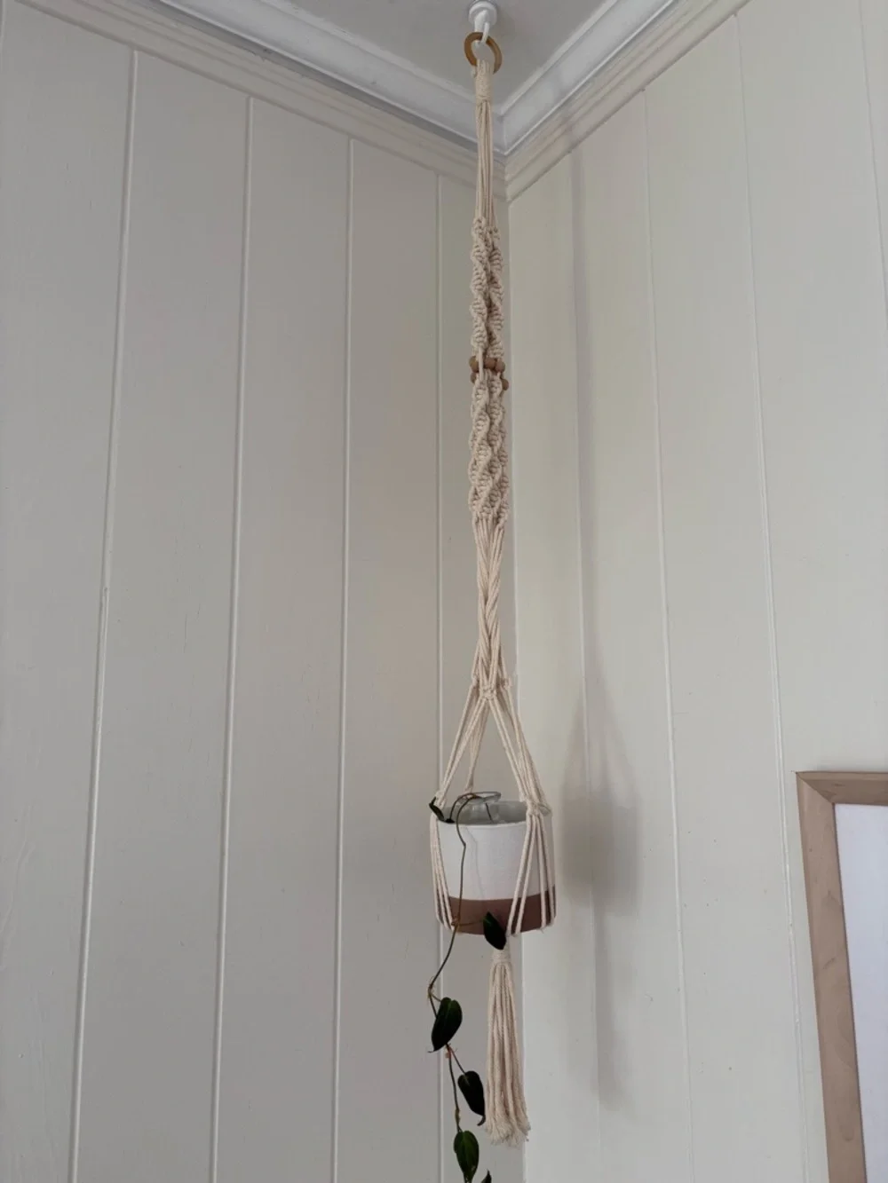 Macramé Hanging Plant Holder